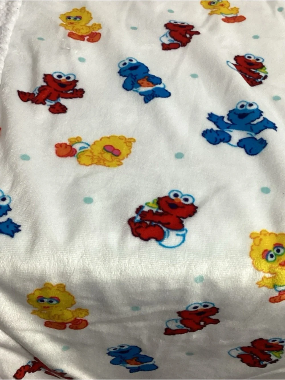 Vintage Sesame Street Babies Graphic Printed Baby Blanket Sherpa Back